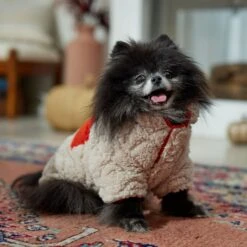 Frisco Medium Weight Quilted Sherpa Dog & Cat Zipper Coat -Cat Supplies 744166 PT7. AC SS1800 V1692377763