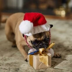 Frisco Chunky Knit Santa Dog & Cat Hat -Cat Supplies 744878 PT5. AC SS1800 V1694793814