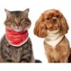Frisco Reversible Candy Cane Cozy Knit Faux Fur Dog & Cat Pullover Bandana, 1 Count -Cat Supplies 745294 MAIN. AC SS1800 V1694813782