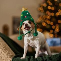 Frisco Christmas Tree Faux Fur Dog & Cat Hat 14 Frisco Christmas Tree Faux Fur Dog & Cat Hat -Cat Supplies 745582 PT5. AC SS1800 V1694793444