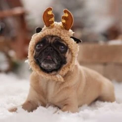 Frisco Sherpa Reindeer Dog & Cat Hat With Bells 14 Frisco Sherpa Reindeer Dog & Cat Hat With Bells -Cat Supplies 745646 PT5. AC SS1800 V1694795597