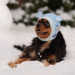 Frisco Nordic Ears Sweater Knit Dog & Cat Hat -Cat Supplies 745710 PT5. AC SS1800 V1695671059