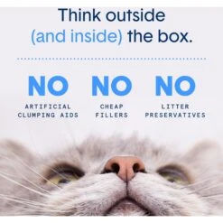 Boxiecat Air Lightweight Deep Clean Probiotic Unscented Clumping Cat Litter -Cat Supplies 751902 PT4. AC SS1800 V1673466934