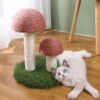 Lovely Caves Gardern Mushroom Cat Scratcher, Brown 1 Lovely Caves Gardern Mushroom Cat Scratcher, Brown -Cat Supplies 760822 MAIN. AC SS1800 V1674853538