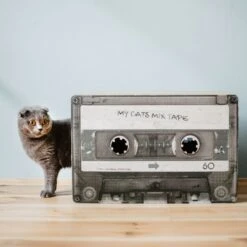 District 70 MIXTAPE Retro Cardboard Cat Scratcher, Large 16 District 70 MIXTAPE Retro Cardboard Cat Scratcher, Large -Cat Supplies 762094 PT6. AC SS1800 V1675867257