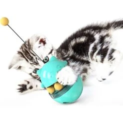 Shele Tumbler Interactive Cat Toy, Turquoise -Cat Supplies 771334 PT7. AC SS1800 V1676052574