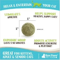 Raw Paws Compressed Catnip Ball Cat Toy, 6 Count 10 Raw Paws Compressed Catnip Ball Cat Toy, 6 Count -Cat Supplies 777974 PT2. AC SS1800 V1676653249