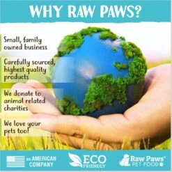 Raw Paws Compressed Catnip Ball Cat Toy, 6 Count 13 Raw Paws Compressed Catnip Ball Cat Toy, 6 Count -Cat Supplies 777974 PT5. AC SS1800 V1676653244