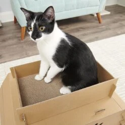 Carlson Pet Products Cat Camper & Scratcher 13 Carlson Pet Products Cat Camper & Scratcher -Cat Supplies 778382 PT5. AC SS1800 V1676490270