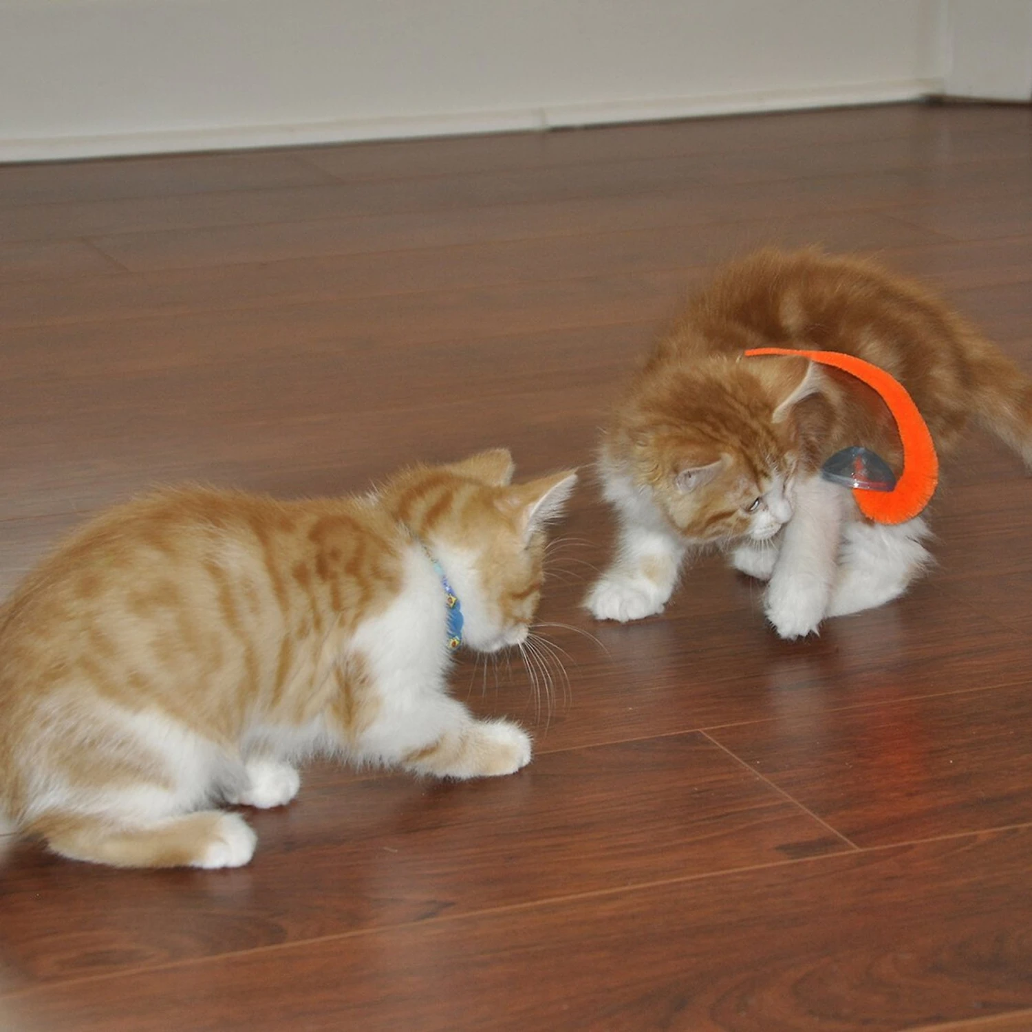 Bergan Whirly Pop Cat Toy With Catnip 5 Bergan Whirly Pop Cat Toy With Catnip - Image 3