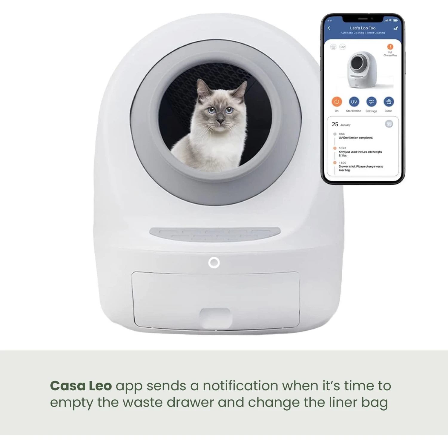 Casa Leo Leo's Loo Lavender Scented Self-Cleaning Drawstring Waste Drawer Box Liners 10 Casa Leo Leo's Loo Lavender Scented Self-Cleaning Drawstring Waste Drawer Box Liners - Image 8