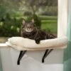 Frisco Plush Cat Window Perch With Removeable Bolster -Cat Supplies 804630 MAIN. AC SS1800 V1695933061