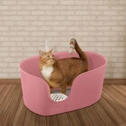 Richell PAW TRAX High Wall Cat Litter Box, X-Large 11 Richell PAW TRAX High Wall Cat Litter Box, X-Large -Cat Supplies 805006 PT3. AC SS1800 V1678913083