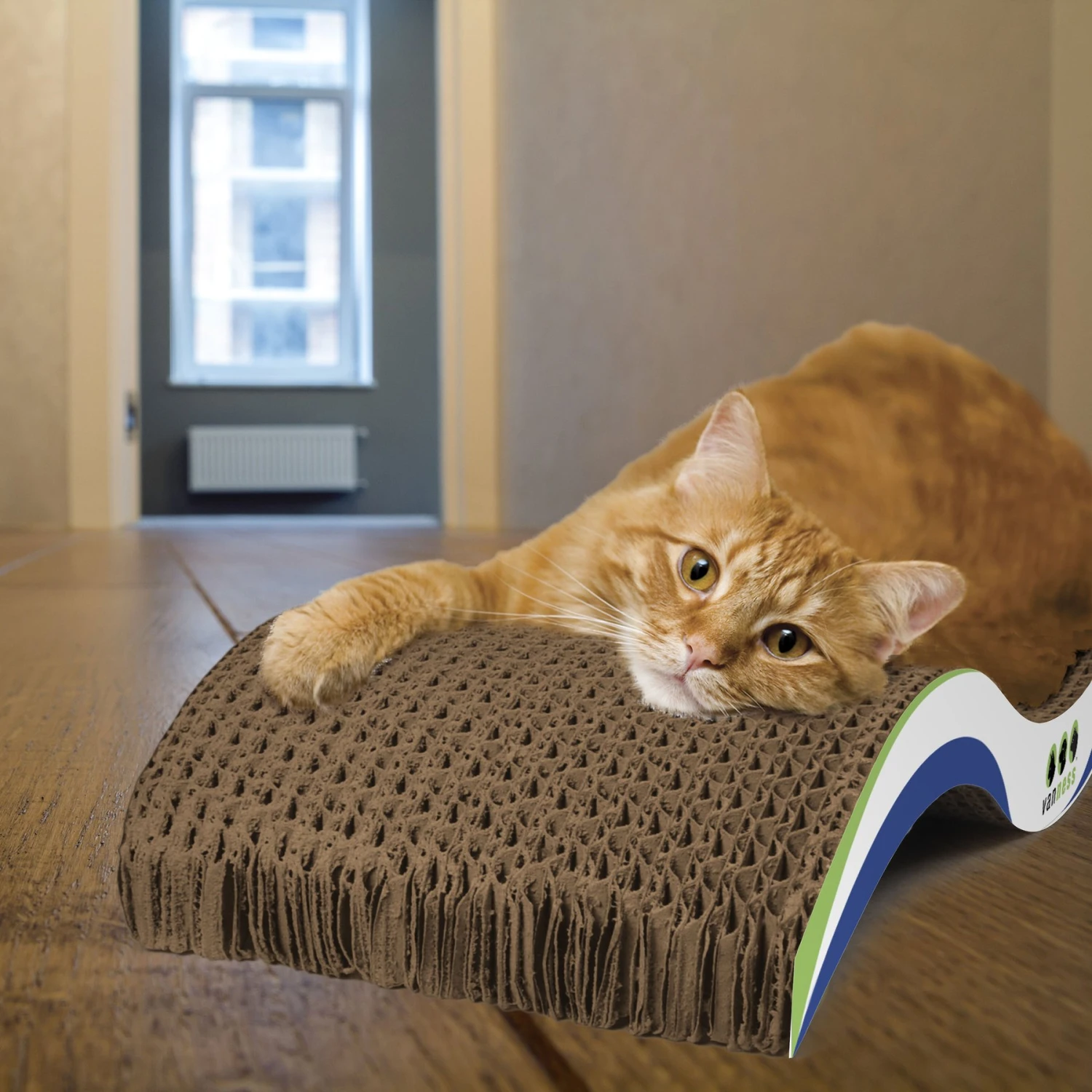 Van Ness Scratch 'N Relax Cat Scratcher Toy With Catnip 5 Van Ness Scratch 'N Relax Cat Scratcher Toy With Catnip - Image 3