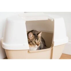 IRIS USA Hooded Corner Cat Litter Box With Front Door Flap & Scoop -Cat Supplies 816574 PT6. AC SS1800 V1685131608