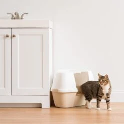 IRIS USA Hooded Corner Cat Litter Box With Front Door Flap & Scoop -Cat Supplies 816574 PT8. AC SS1800 V1685131607