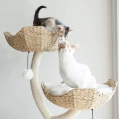 Mau Lifestyle Ivy 3, 53-in Modern Cat Tree, Natural -Cat Supplies 842054 PT2. AC SS1800 V1682609109