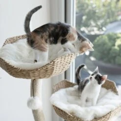 Mau Lifestyle Ivy 3, 53-in Modern Cat Tree, Natural -Cat Supplies 842054 PT3. AC SS1800 V1682609109