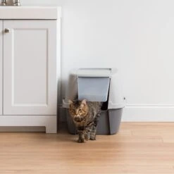 IRIS USA Enclosed Cat Litter Box With Front Door Flap & Scoop, Gray, Jumbo 13 IRIS USA Enclosed Cat Litter Box With Front Door Flap & Scoop, Gray, Jumbo -Cat Supplies 846614 PT2. AC SS1800 V1683834899