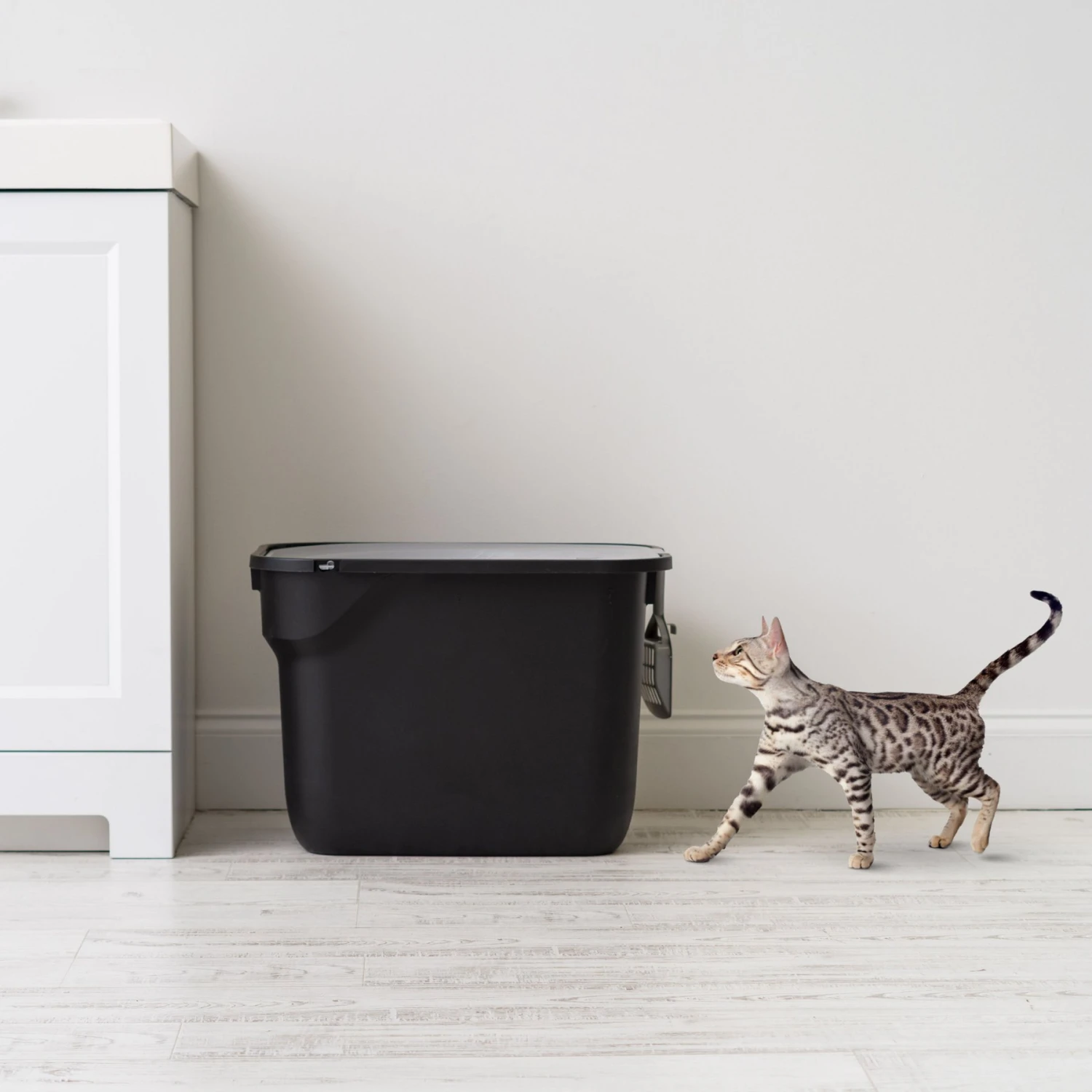 IRIS USA Square Top Entry Cat Litter Box With Scoop, Large 5 IRIS USA Square Top Entry Cat Litter Box With Scoop, Large - Image 3