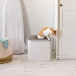 IRIS USA Premium Square Top Entry Cat Litter Box With Scoop, White & Gray, Large -Cat Supplies 846654 PT6. AC SS1800 V1683834958