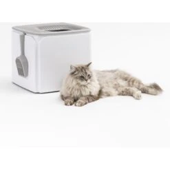 IRIS USA Premium Square Top Entry Cat Litter Box With Scoop, White & Gray, Large -Cat Supplies 846654 PT8. AC SS1800 V1683211470