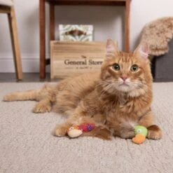 SmartyKat Instincts Love Mates Feathery Plush HappyNip Silvervine & Catnip Bird Cat Toys, 2-pack 11 SmartyKat Instincts Love Mates Feathery Plush HappyNip Silvervine & Catnip Bird Cat Toys, 2-pack -Cat Supplies 847110 PT2. AC SS1800 V1683729344