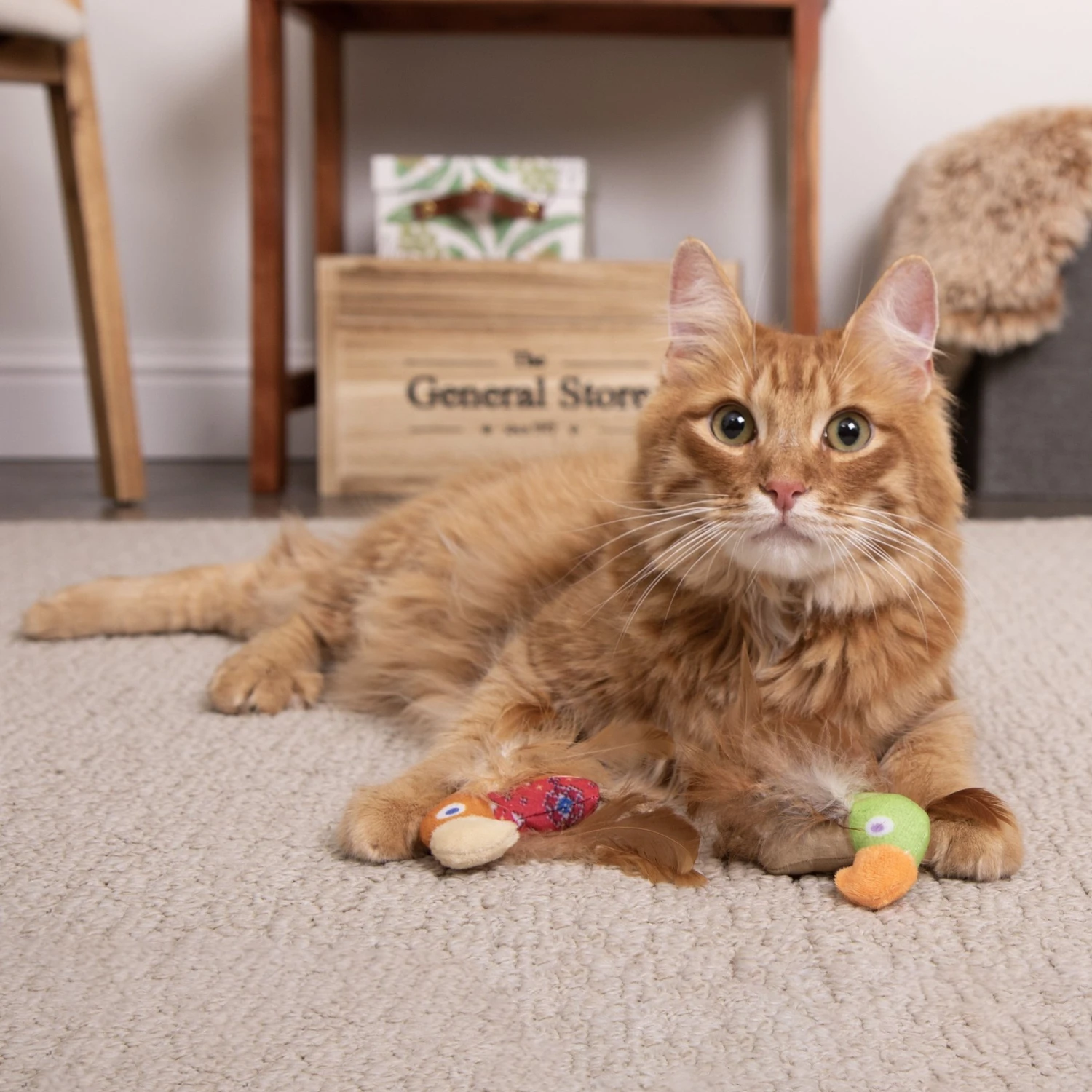 SmartyKat Instincts Love Mates Feathery Plush HappyNip Silvervine & Catnip Bird Cat Toys, 2-pack 5 SmartyKat Instincts Love Mates Feathery Plush HappyNip Silvervine & Catnip Bird Cat Toys, 2-pack - Image 3