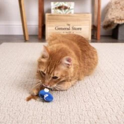 SmartyKat Instincts Chatty Chirp Plush HappyNip Silvervine & Catnip Bird Electronic Sound Cat Toy 11 SmartyKat Instincts Chatty Chirp Plush HappyNip Silvervine & Catnip Bird Electronic Sound Cat Toy -Cat Supplies 847126 PT2. AC SS1800 V1683729178