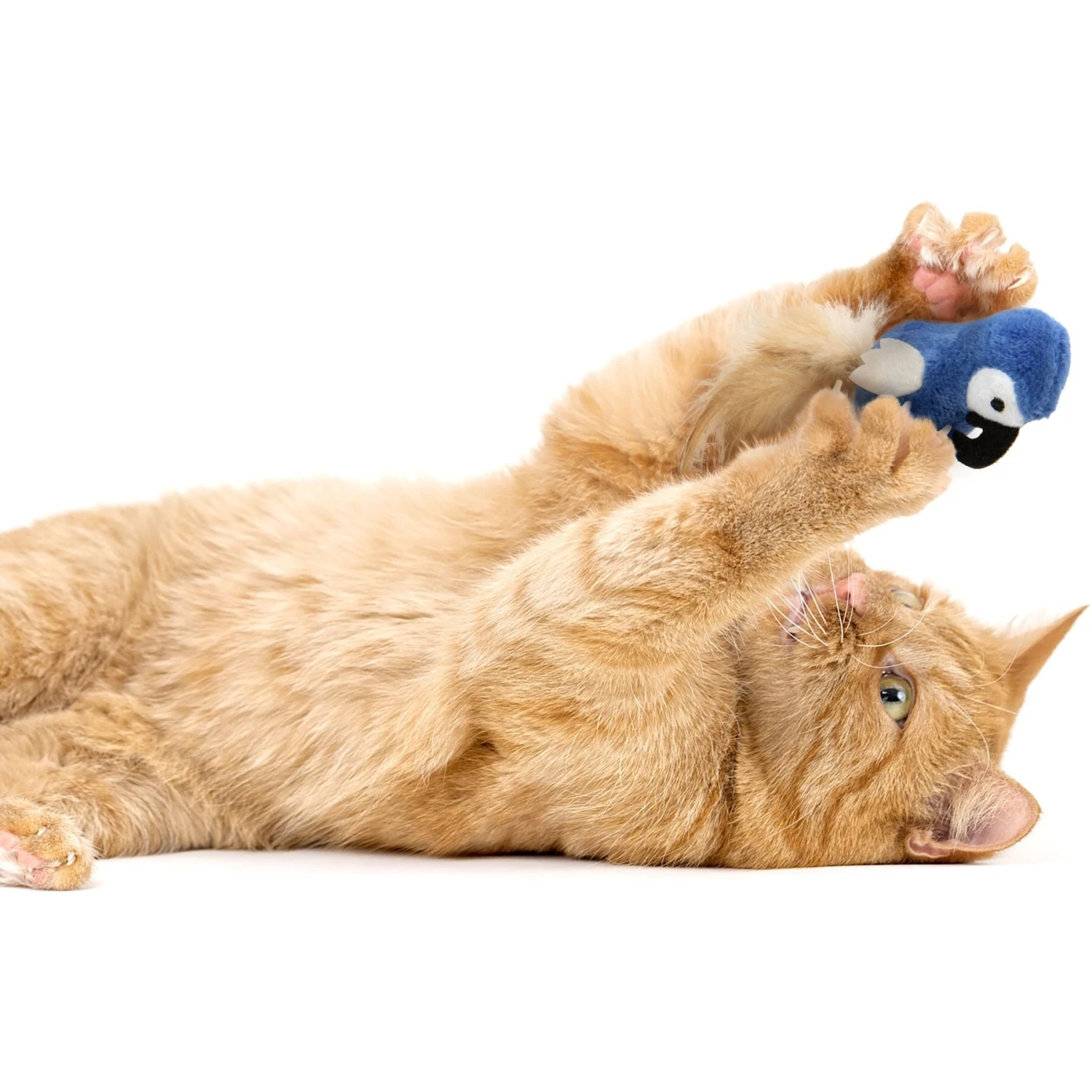 SmartyKat Instincts Chatty Chirp Plush HappyNip Silvervine & Catnip Bird Electronic Sound Cat Toy 6 SmartyKat Instincts Chatty Chirp Plush HappyNip Silvervine & Catnip Bird Electronic Sound Cat Toy - Image 4