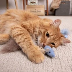 SmartyKat Instincts Catnip Caravan HappyNip Silvervine Toss & Bat Plush Mice Cat Toys, 3-pack 11 SmartyKat Instincts Catnip Caravan HappyNip Silvervine Toss & Bat Plush Mice Cat Toys, 3-pack -Cat Supplies 847190 PT2. AC SS1800 V1683729410