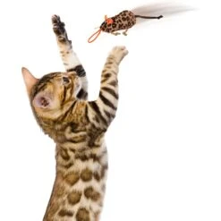 SmartyKat Instincts Safari Sneakers HappyNip Silvervine & Catnip Plush Cat Toys & Launcher Cat Toy, 3-pack & 1 Count 15 SmartyKat Instincts Safari Sneakers HappyNip Silvervine & Catnip Plush Cat Toys & Launcher Cat Toy, 3-pack & 1 Count -Cat Supplies 847206 PT5. AC SS1800 V1683728375