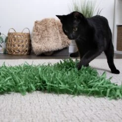 SmartyKat Instincts Meadow Mayhem Paper Grass Hide & Seek Cat Toy, 2-pack 11 SmartyKat Instincts Meadow Mayhem Paper Grass Hide & Seek Cat Toy, 2-pack -Cat Supplies 847238 PT2. AC SS1800 V1683728598