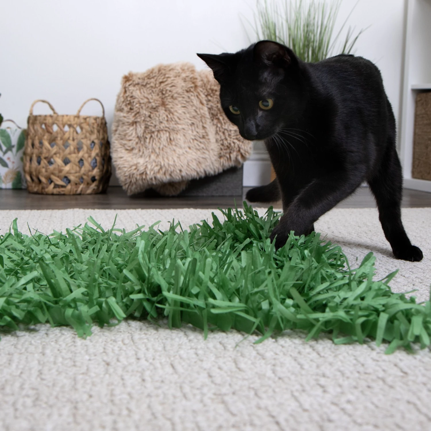 SmartyKat Instincts Meadow Mayhem Paper Grass Hide & Seek Cat Toy, 2-pack 5 SmartyKat Instincts Meadow Mayhem Paper Grass Hide & Seek Cat Toy, 2-pack - Image 3