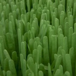 SmartyKat Instincts Meadow Mayhem Paper Grass Hide & Seek Cat Toy, 2-pack 15 SmartyKat Instincts Meadow Mayhem Paper Grass Hide & Seek Cat Toy, 2-pack -Cat Supplies 847238 PT6. AC SS1800 V1683728572