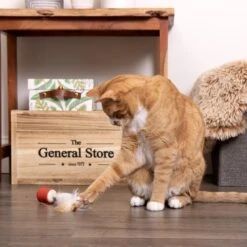 SmartyKat Instincts Sneaky Spinner USB Rechargeable Teaser Electronic Motion Cat Toy -Cat Supplies 847302 PT2. AC SS1800 V1683729376