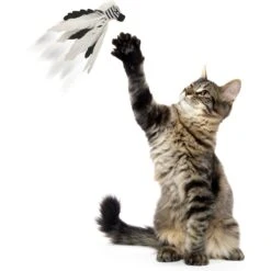 SmartyKat Instincts Zingy Zebra Feathered Toss & Chase With HappyNip Silvervine & Catnip Cat Toy -Cat Supplies 847318 PT6. AC SS1800 V1683728585