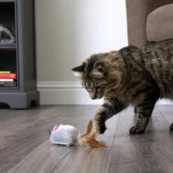 SmartyKat Instincts Scamper Mouse Soft Plush Battery-Powered Electronic Motion Cat Toy 11 SmartyKat Instincts Scamper Mouse Soft Plush Battery-Powered Electronic Motion Cat Toy -Cat Supplies 847382 PT2. AC SS1800 V1689344987