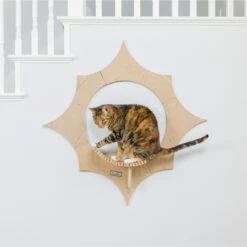 Armarkat Sun Shape Modern Wall-Mounted Wall Shelves Cat Furniture, Beige -Cat Supplies 847718 PT5. AC SS1800 V1683834957