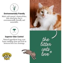 Dr. Elsey's Pine All-Natural Kiln-Dried Cat Litte 12 Dr. Elsey's Pine All-Natural Kiln-Dried Cat Litte -Cat Supplies 853926 PT4. AC SS1800 V1701368839