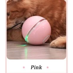 EYS Rolling Ball Motion & Chasing With LED Light Cat Toy