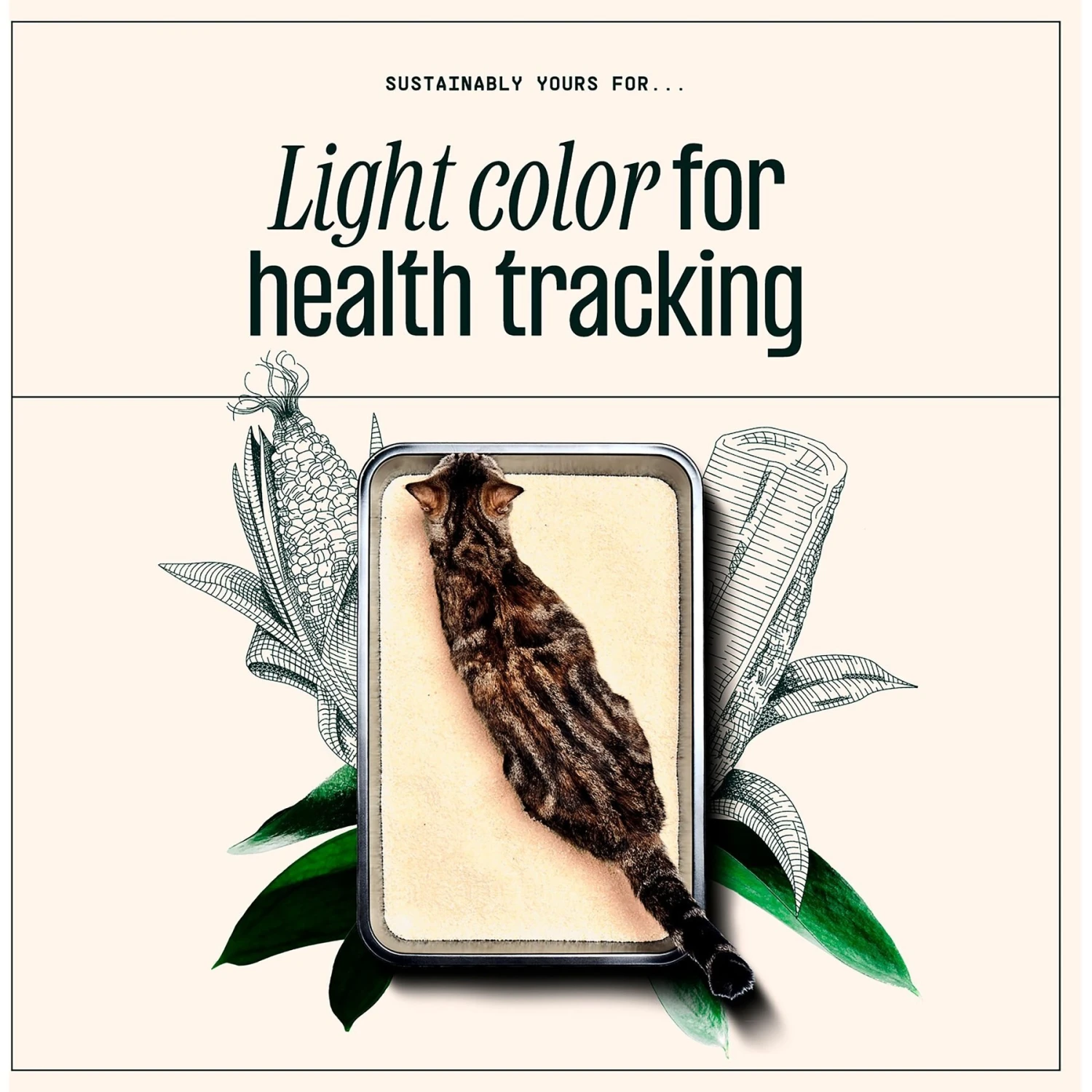 Sustainably Yours Multi-Cat Plus Natural Cat Litter, 10-lb Bag 7 Sustainably Yours Multi-Cat Plus Natural Cat Litter, 10-lb Bag - Image 5