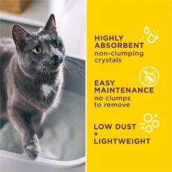 Tidy Cats Alert Health Monitoring Unscented Non-Clumping Cat Litter, 8-lb Bag 10 Tidy Cats Alert Health Monitoring Unscented Non-Clumping Cat Litter, 8-lb Bag -Cat Supplies 871510 PT3. AC SS1800 V1700256917