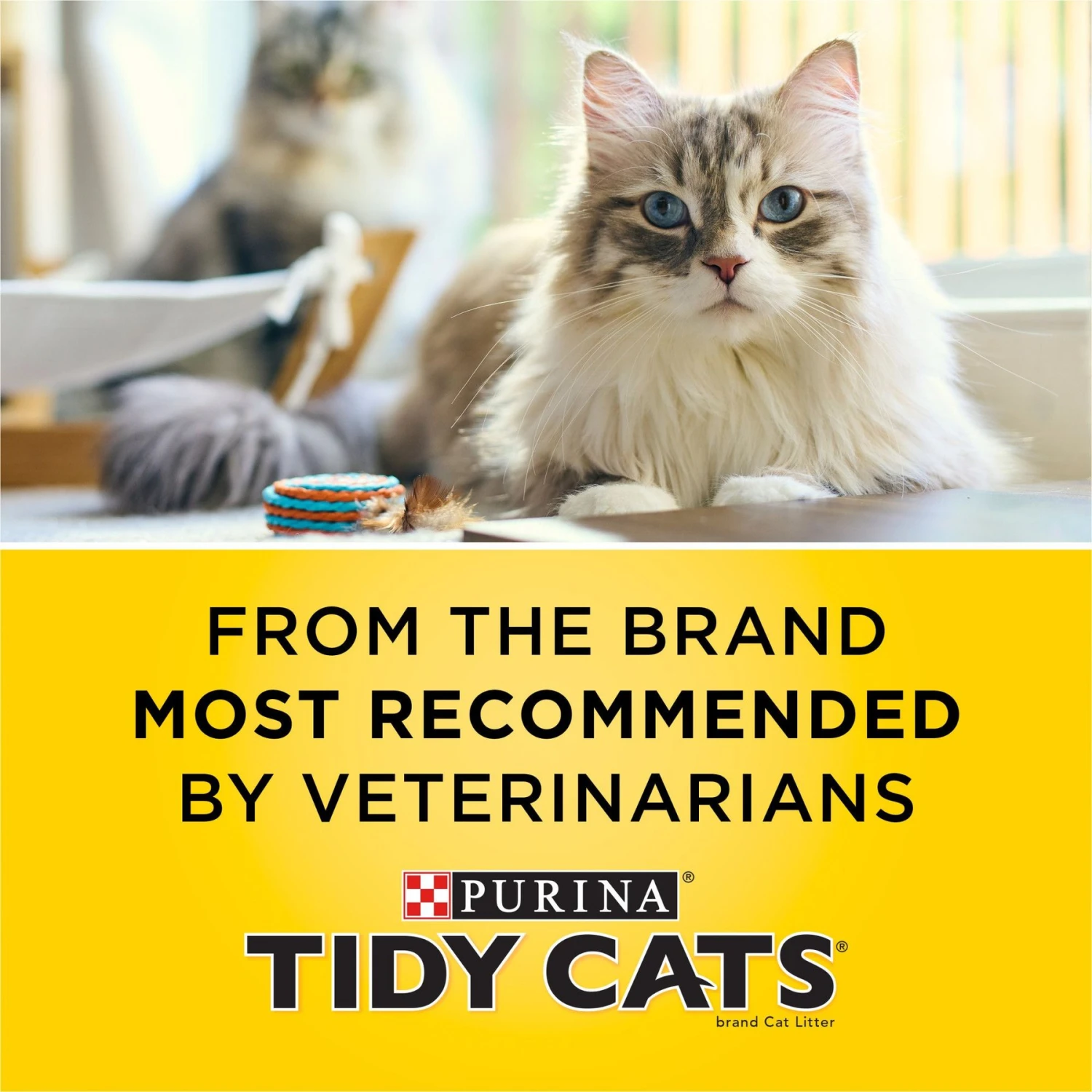 Tidy Cats Alert Health Monitoring Unscented Non-Clumping Cat Litter, 8-lb Bag 7 Tidy Cats Alert Health Monitoring Unscented Non-Clumping Cat Litter, 8-lb Bag - Image 5