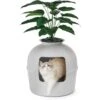 Bundle & Bliss Secret Litter Box Hidden Cat Litter Box Plant 2 Bundle & Bliss Secret Litter Box Hidden Cat Litter Box Plant -Cat Supplies 897430 MAIN. AC SS1800 V1687886027