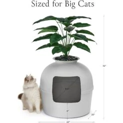Bundle & Bliss Secret Litter Box Hidden Cat Litter Box Plant 16 Bundle & Bliss Secret Litter Box Hidden Cat Litter Box Plant -Cat Supplies 897430 PT5. AC SS1800 V1687891877