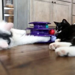 Quirky Kitty Three Layer Ball Track Cat Toy -Cat Supplies 900102 PT4. AC SS1800 V1689010871