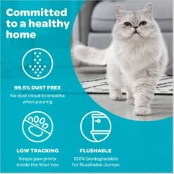 SWheat Scoop Fast-Clumping Unscented Natural Clumping Wheat Cat Litter 13 SWheat Scoop Fast-Clumping Unscented Natural Clumping Wheat Cat Litter -Cat Supplies 90868 PT4. AC SS1800 V1667518082