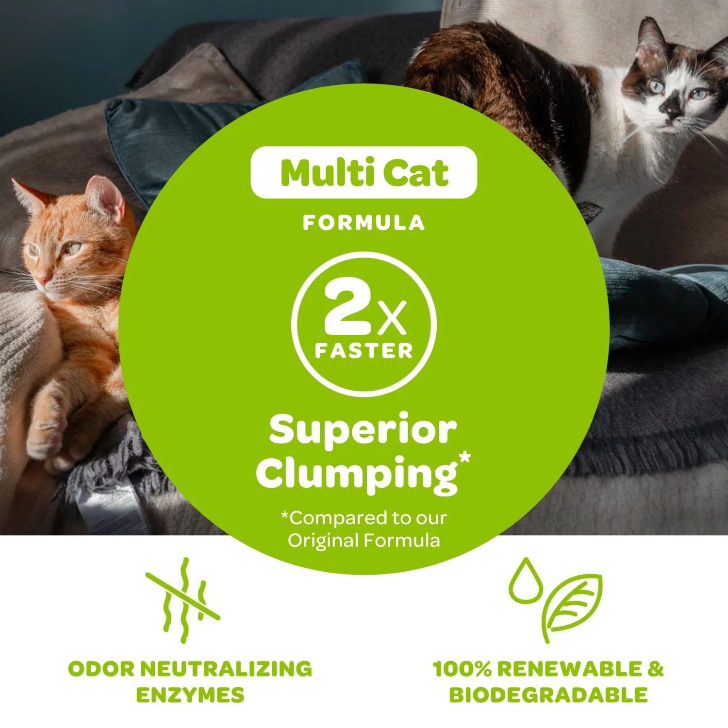 SWheat Scoop Multi-Cat Unscented Natural Clumping Wheat Cat Litter 8 SWheat Scoop Multi-Cat Unscented Natural Clumping Wheat Cat Litter - Image 6