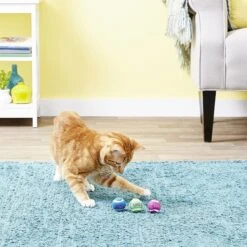 KONG Tennis Balls With Bells Cat Toy 17 KONG Tennis Balls With Bells Cat Toy -Cat Supplies 91319 PT7. AC SS1800 V1603147294
